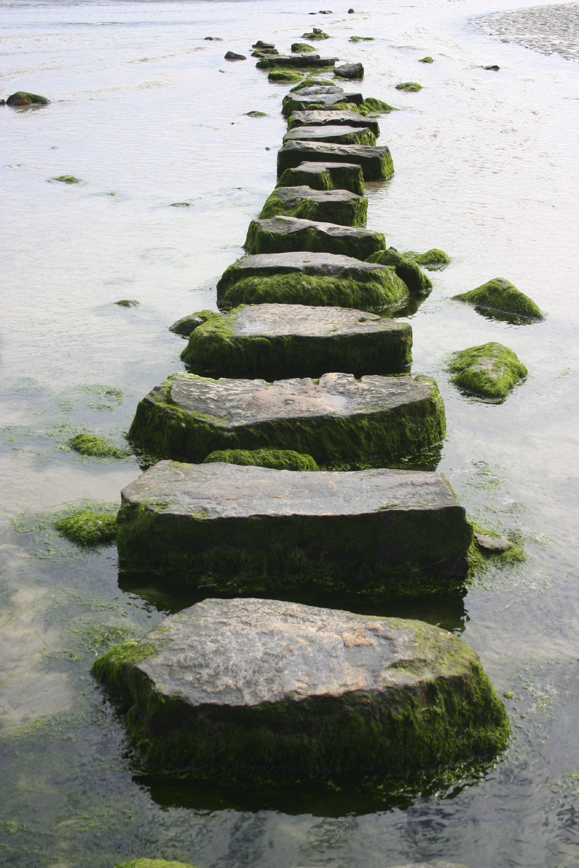 7.7 Billion Spiritual Paths And You Are One Of Them - Shining Lotus ...