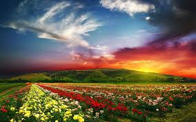 NatureSpiritsAtSunset
