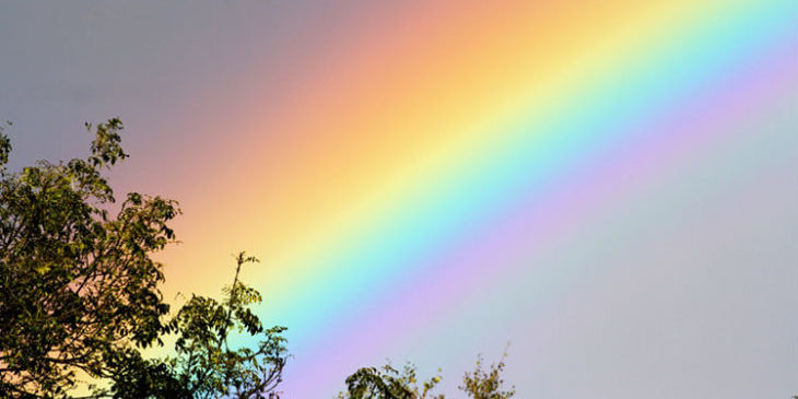 Rainbow