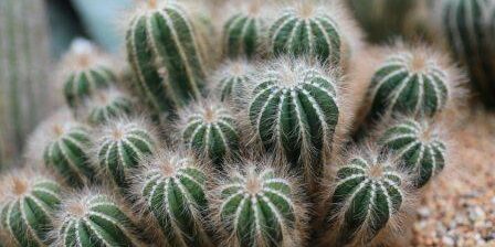 rigel-zzmoltRFTQQ-unsplash Photo by rigel on Unsplash