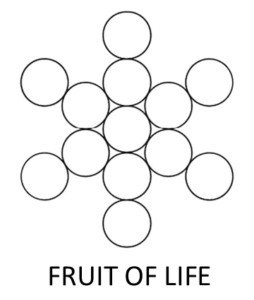 Fruit Of Life