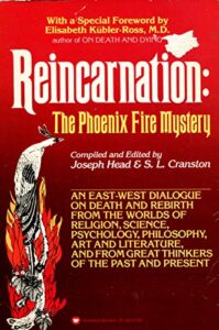 Reincarnation: The Phoenix Fire Mystery