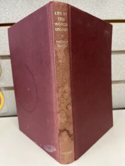 Life In The Unseen World